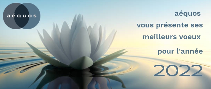 gestion des eaux pluviales