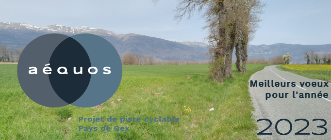Gestion des eaux pluviales